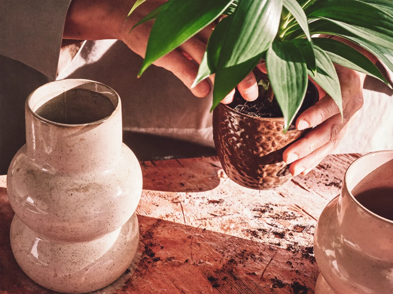 Illustration af materialedetaljer fra plante og ler